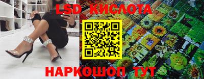 крисы Новозыбков